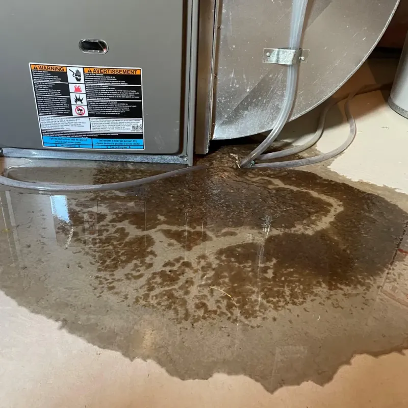 Appliance Leak Cleanup in Shell Point, SC